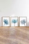Wallity Cuadro Decorativo enmarcado en MDF (3 piezas) 30 x 40 cm